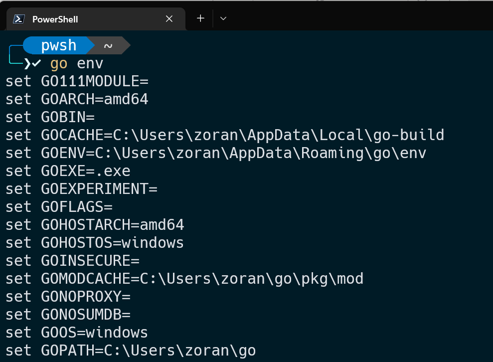 go env